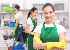 شغالات بالشهر حى الفرسان بالرياض 0563439641